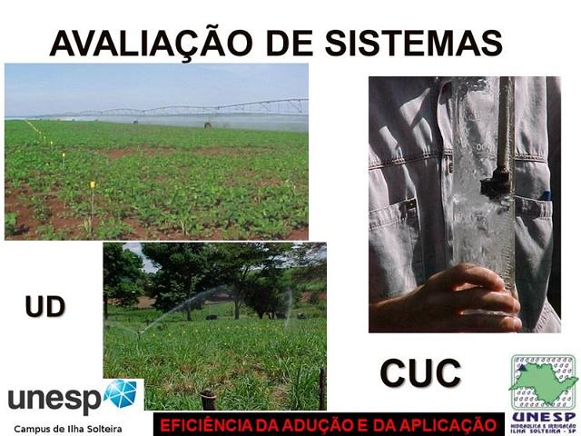 dracen_18_maio_2013 (110).JPG